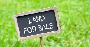 6 Kanal Land Near G D Goenka School Dharamshala